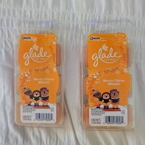HTF RARE Glade Wax Melts  MERRY CITRUS MELODY 12 Count Christmas Holiday Limited
